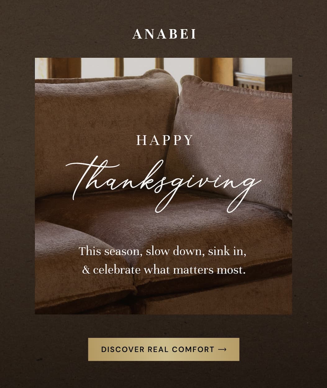 Happy Thanksgiving from all of us at Anabei!
