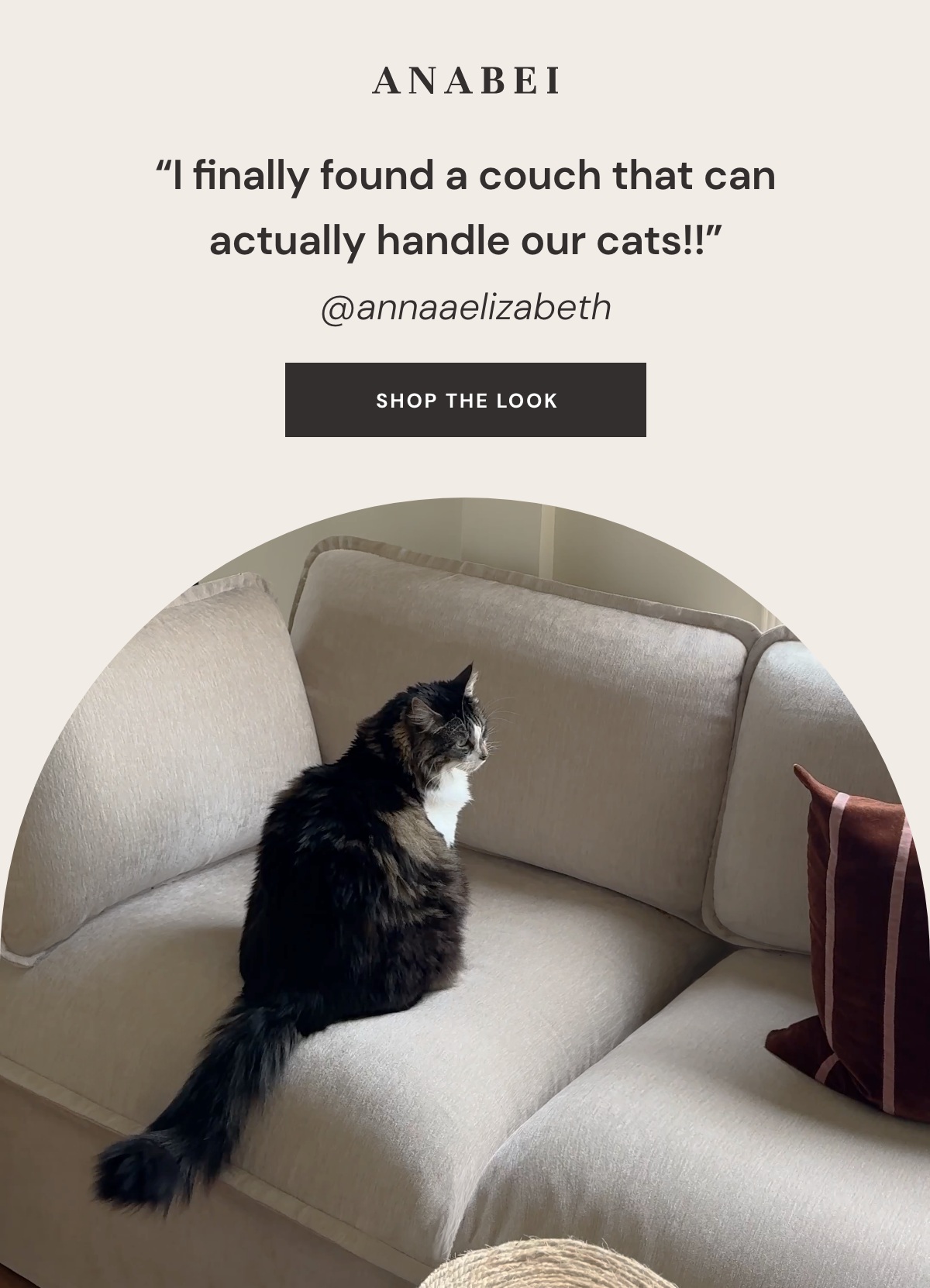 “I finally found a couch that can actually handle our cats!!”