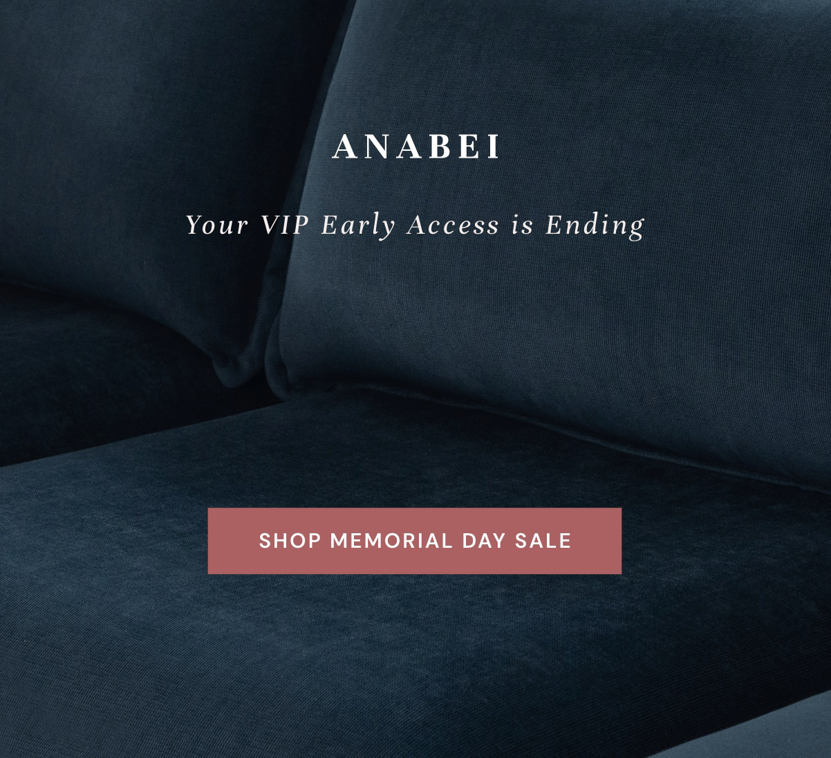 Your VIP Early Access is Ending