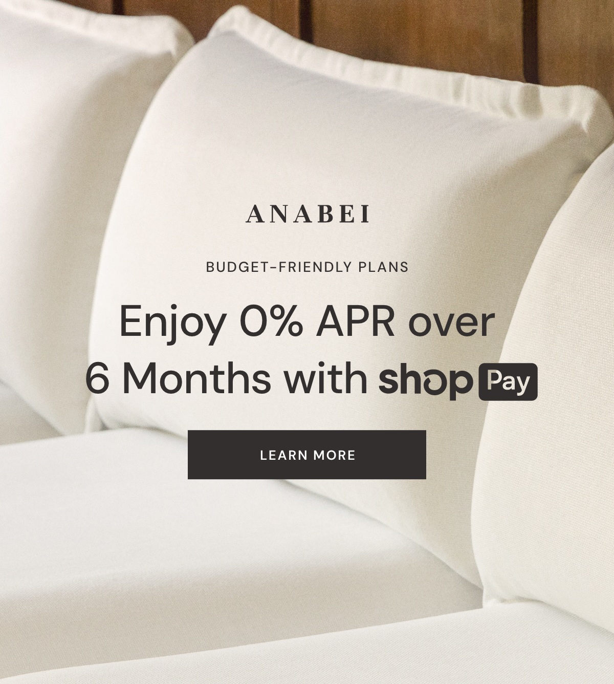 Enjoy 0% APR over 6 months with Shop Pay