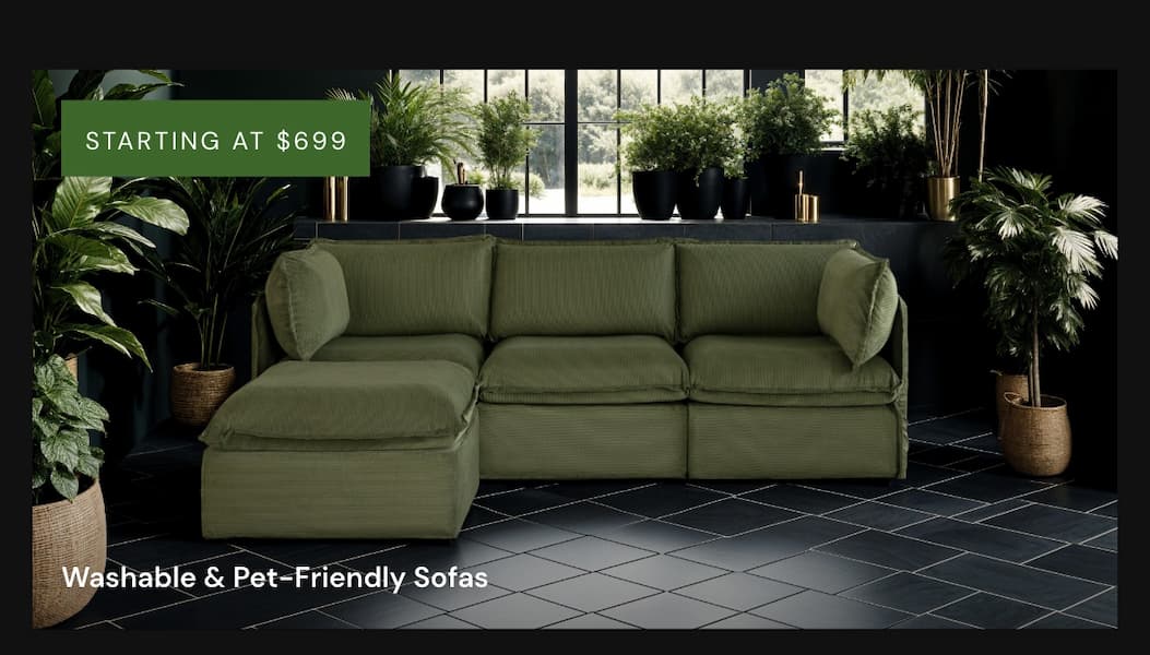 Washable & Pet-Friendly Sofas STARTING at $699