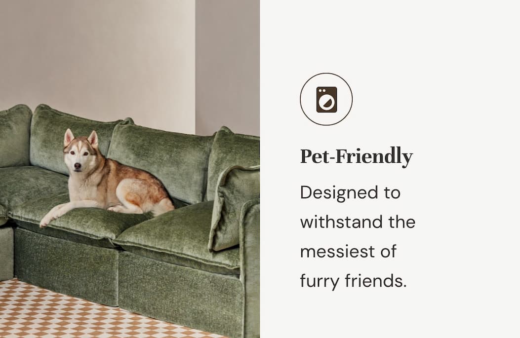 Pet-friendly