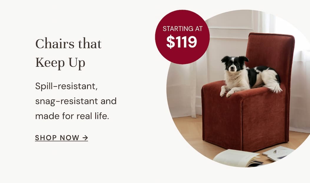 Washable dining chairs Starting at $119