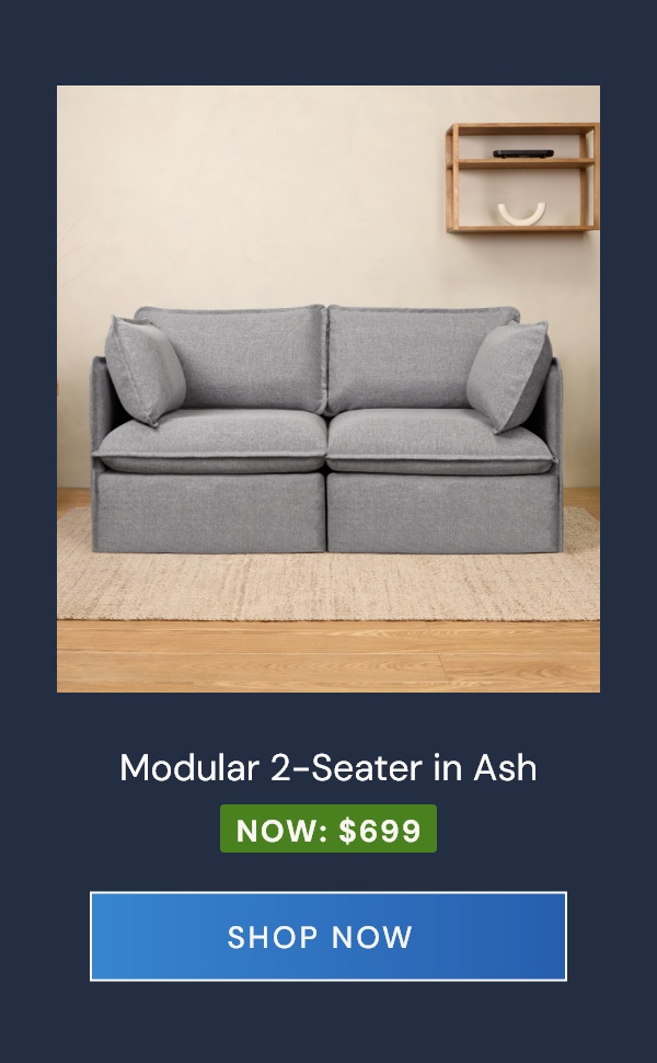 Washable 2-Seater in Ash. Now: $699