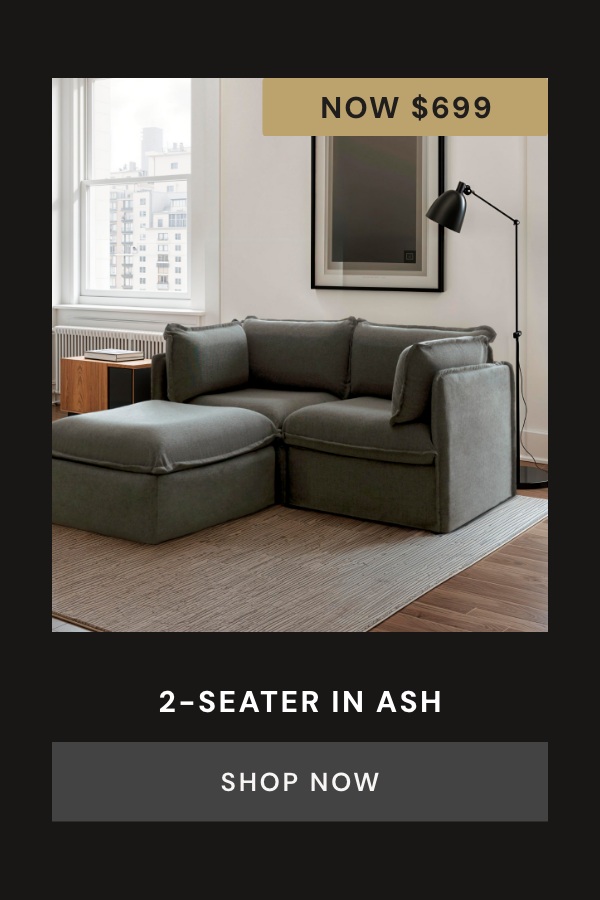 Washable 2-Seater in Ash. Now: $699