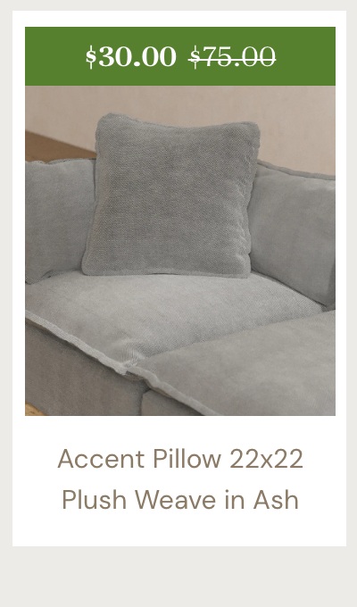 Accent Pillow 22x22  Plush Weave in Ash