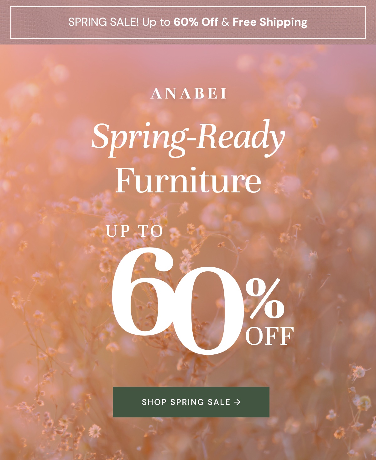 Spring Sale | Up to 60% OFF & Free Shipping