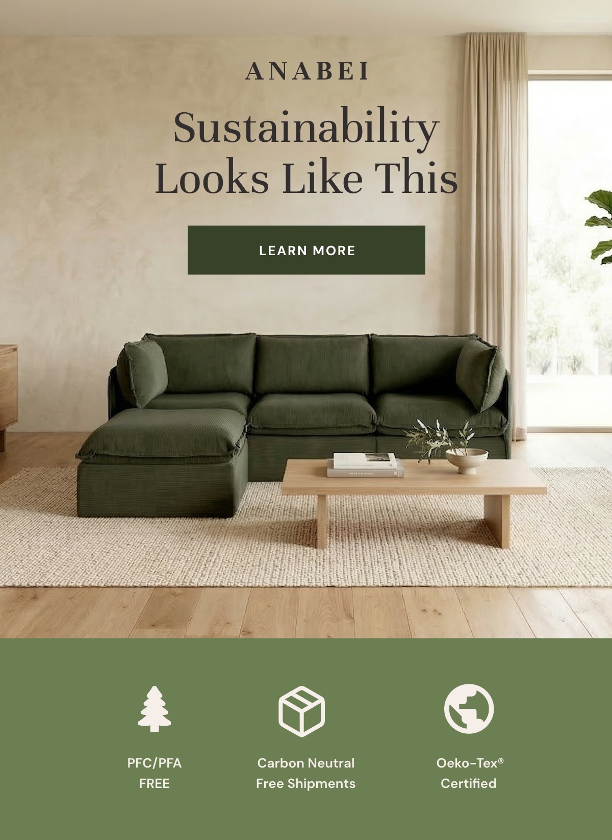 Sustainability Looks Like This