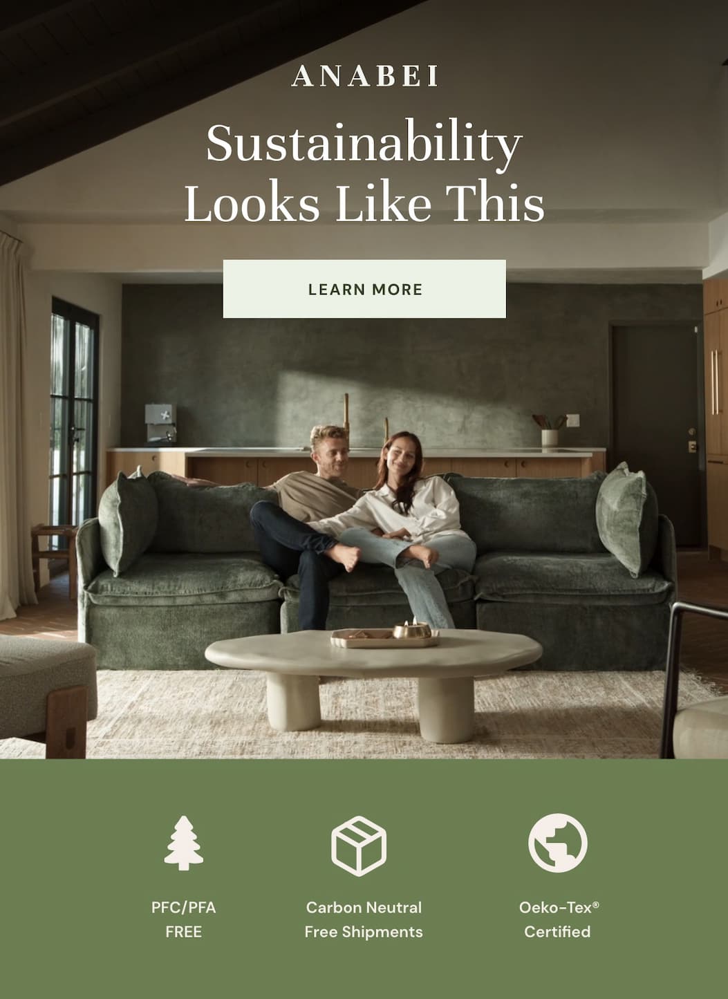 Sustainability Looks Like This