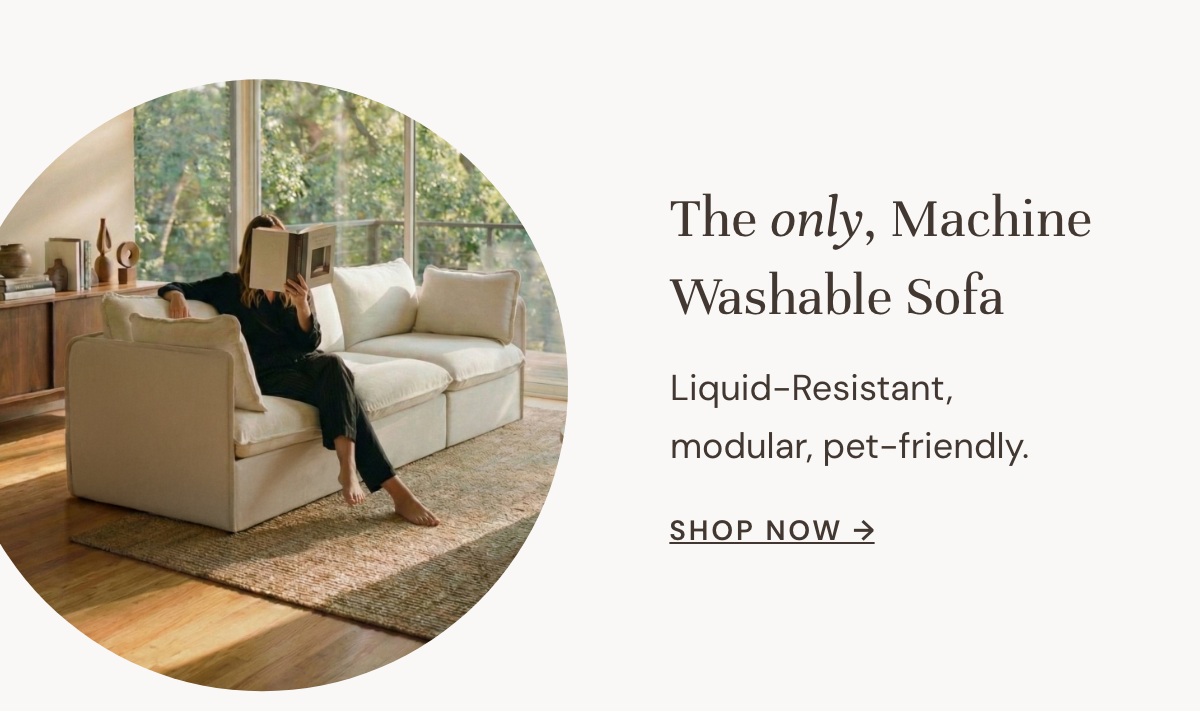 The only, Machine Washable Sofa