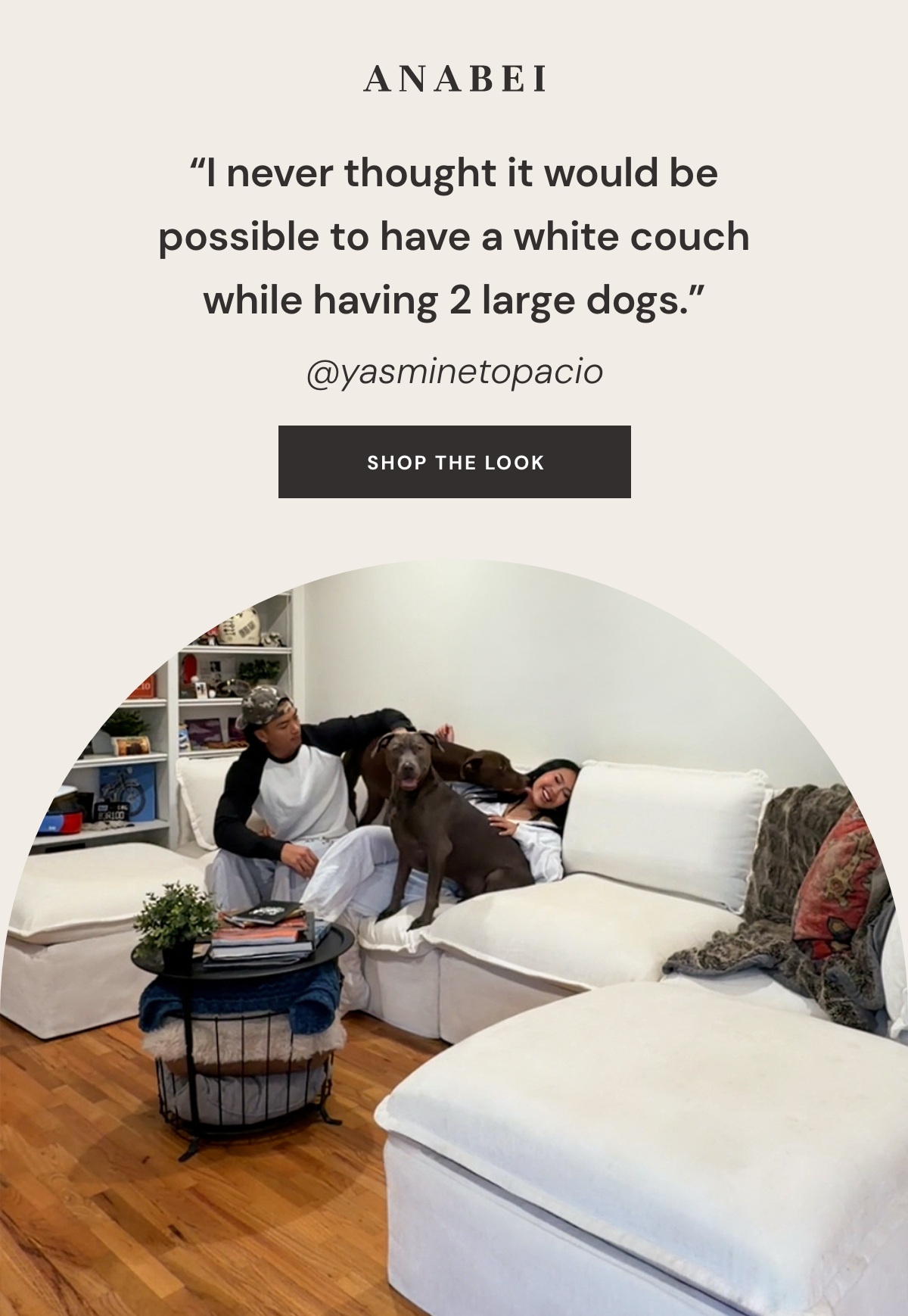 "I never thought it would be possible to have a white couch while having 2 large dogs"
