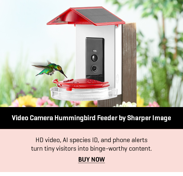 Video Camera Hummingbird Feeder by Sharper Image