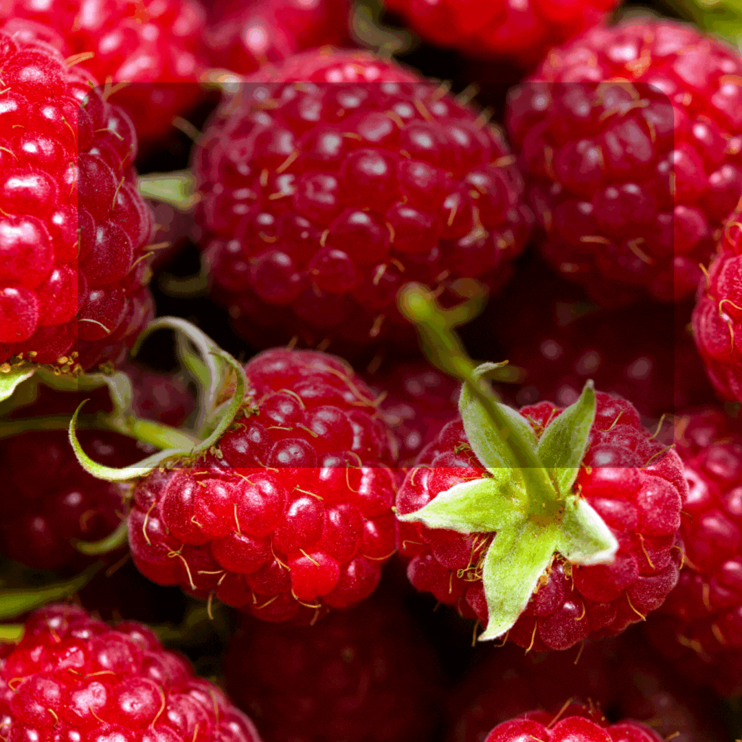 Homegrown raspberries offer an unparalleled burst of flavour that shop