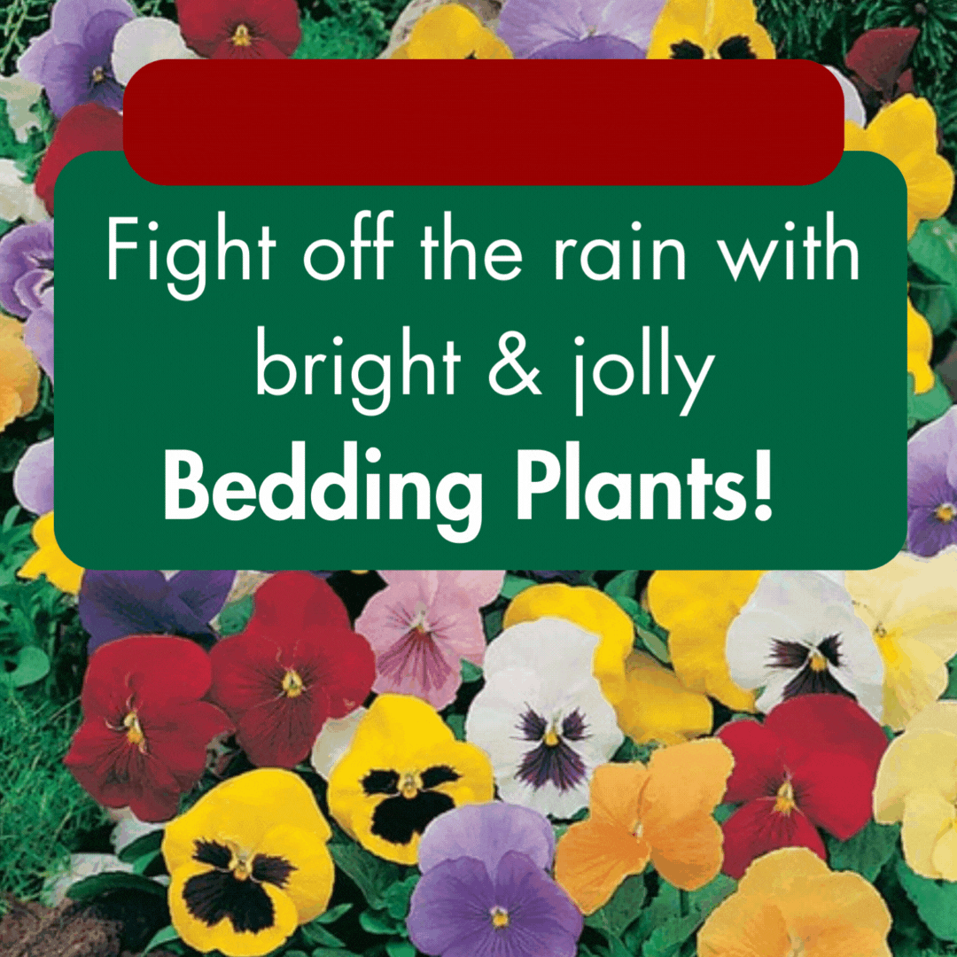 Fight Off The Autumn Winter Rain With Some Bright And Jolly Bedding fight-off-the-autumn-winter-rain-with-some-bright-and-jolly-bedding