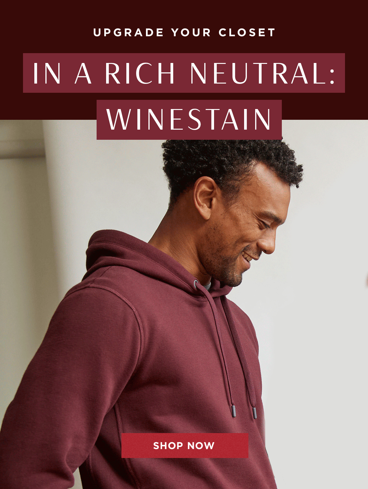 Winestain
