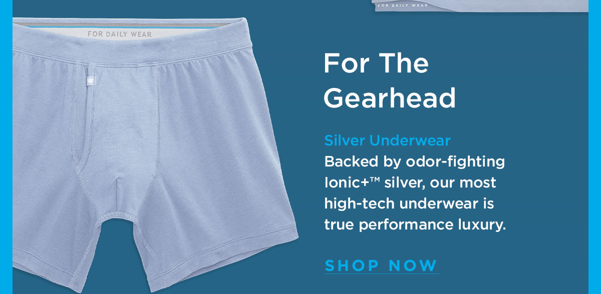 Silver Boxer Brief