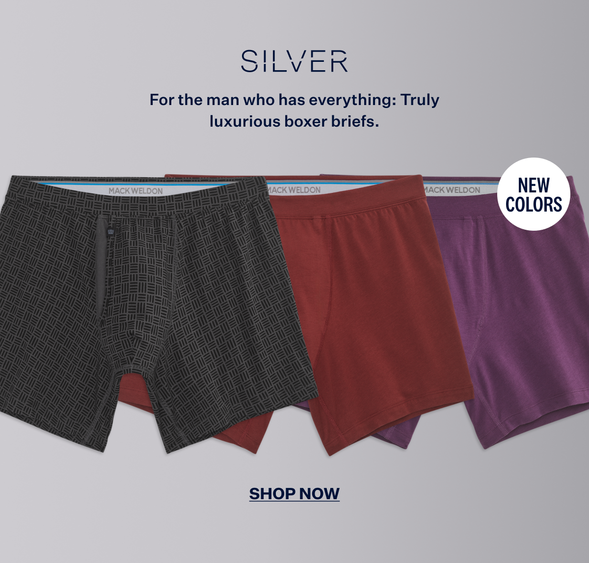 SILVER Boxer Brief
