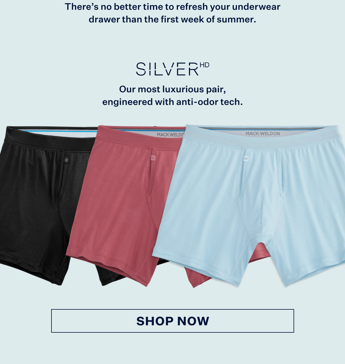 Silver HD Boxer Brief