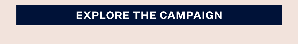 "Explore the campaign" button