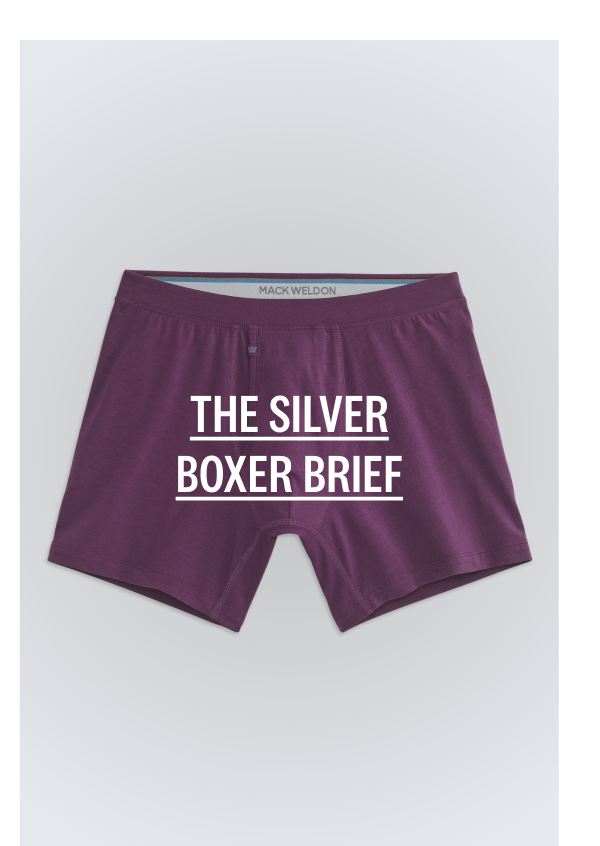 SILVER Boxer Brief