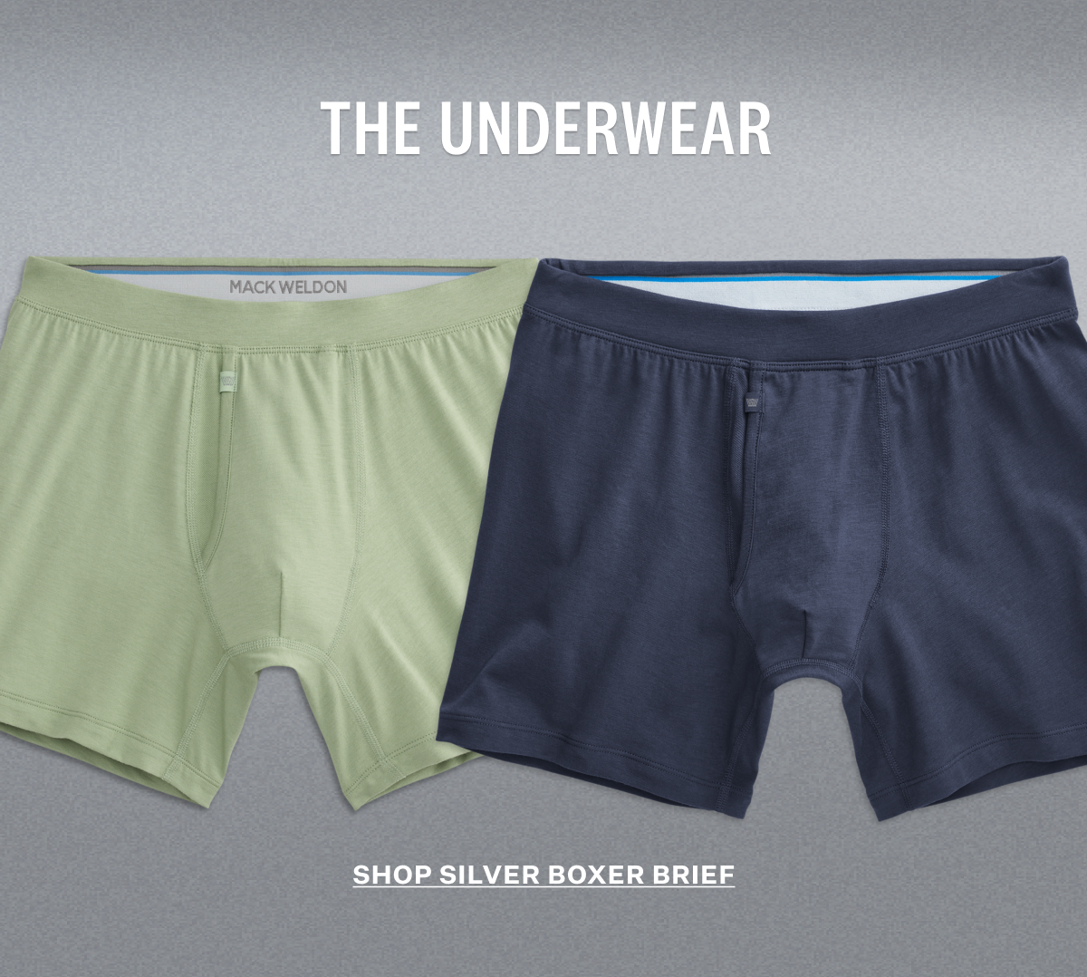 SILVER Boxer Brief