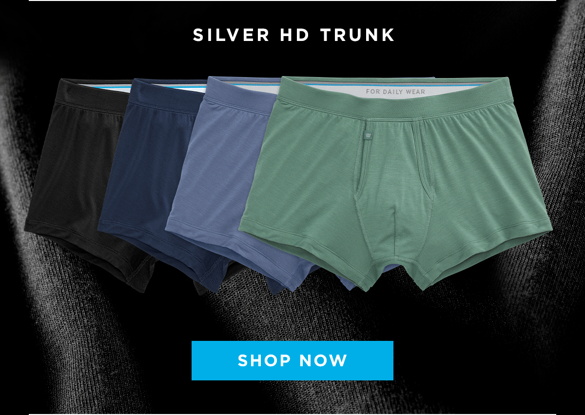 Silver HD Trunk