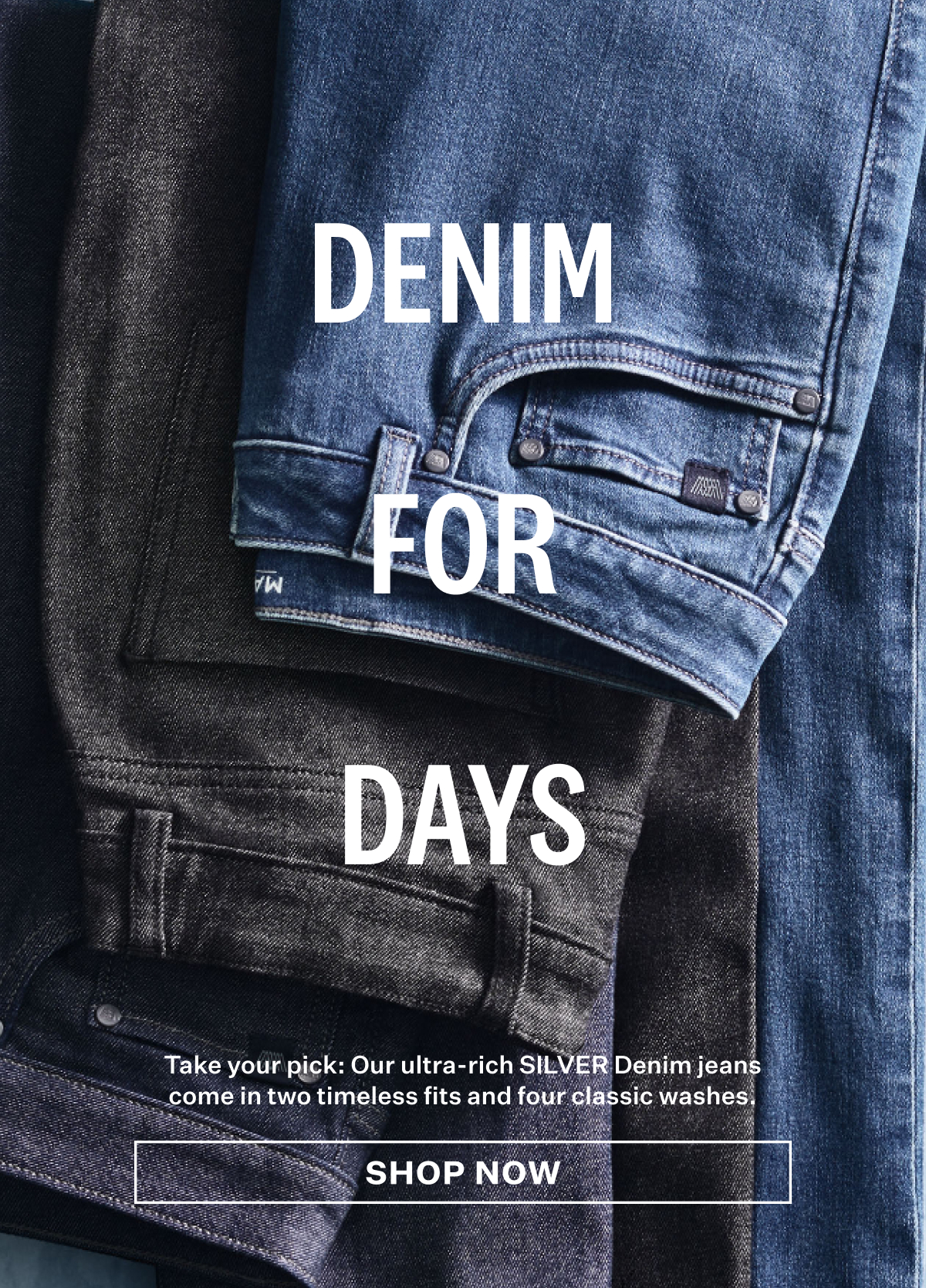 SILVER Denim - Straight Leg Jeans