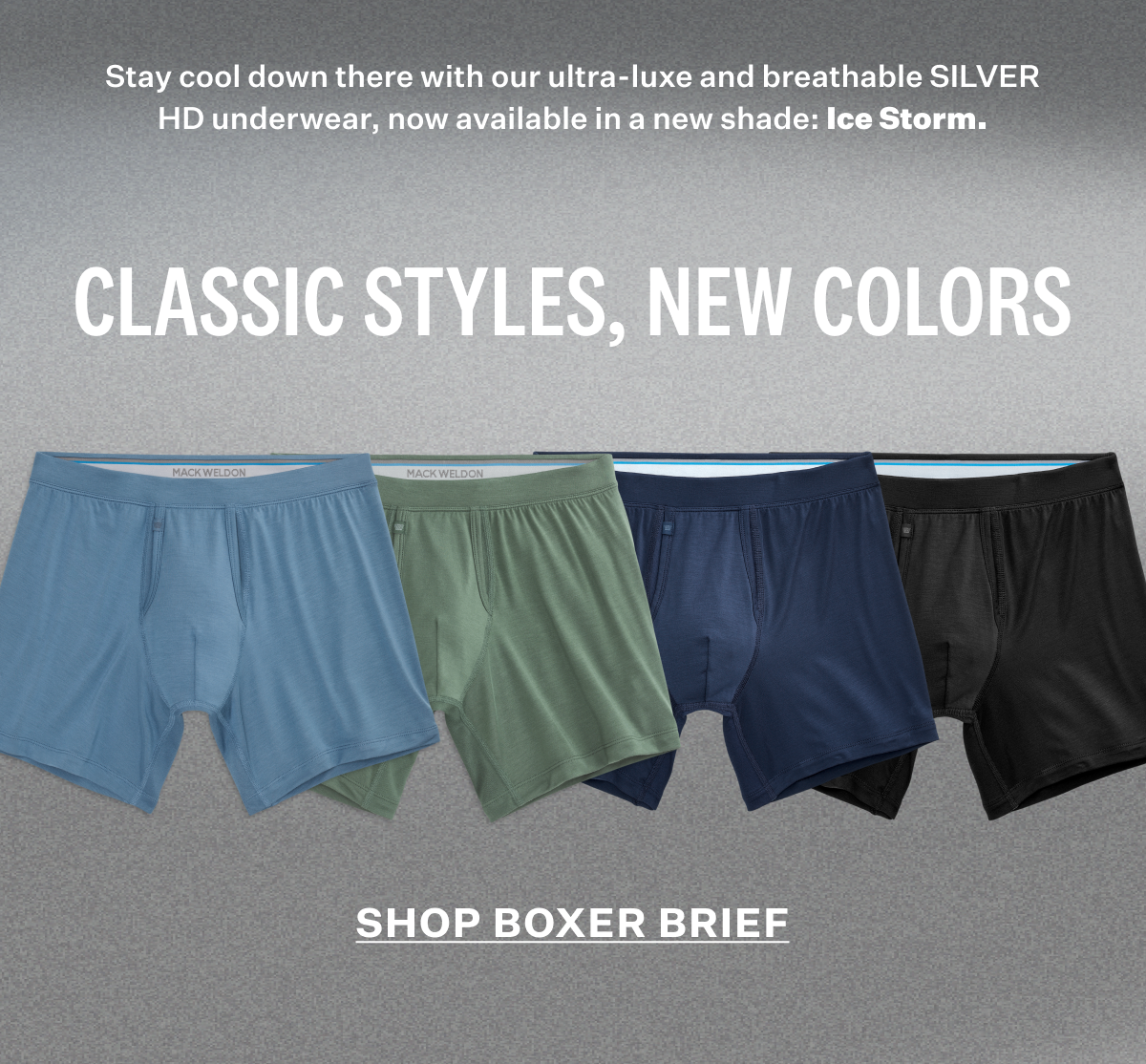 SILVER HD Boxer Brief