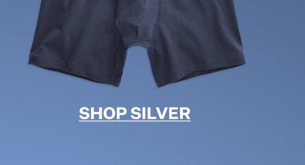 SILVER Boxer Brief