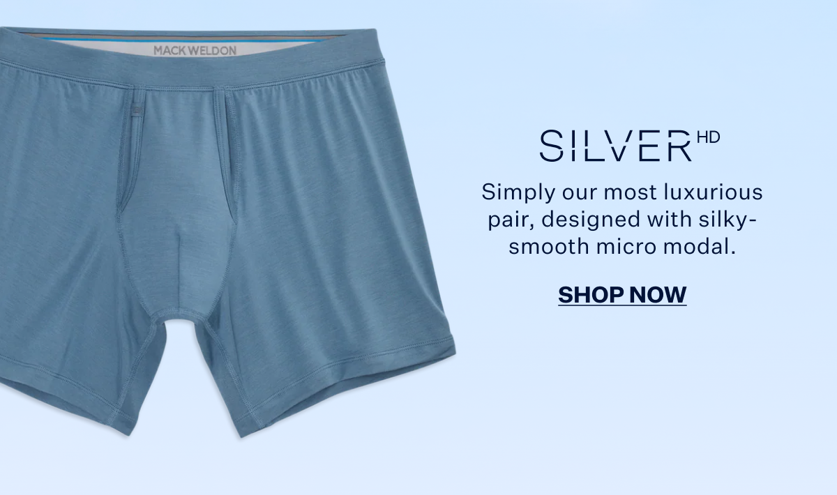 Silver HD Boxer Brief in Ice Storm