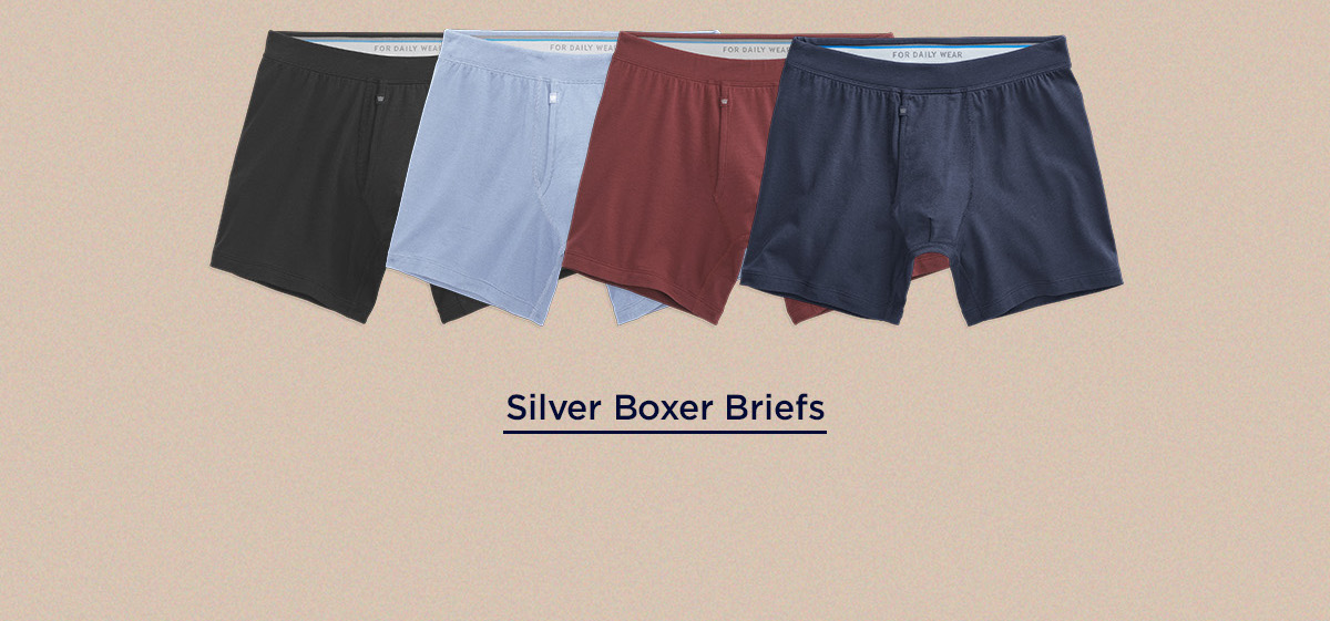 Silver Boxer Brief