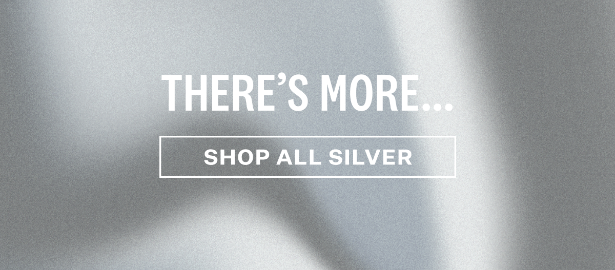 Shop Silver
