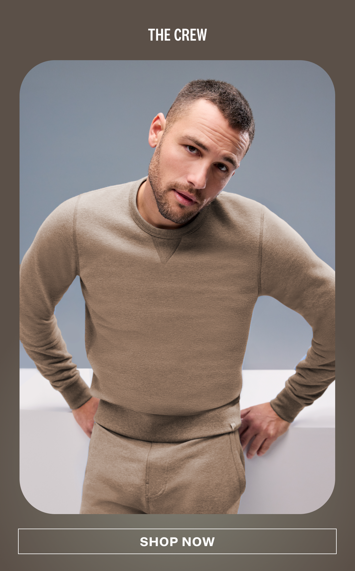 ACE Crew Neck Sweatshirt