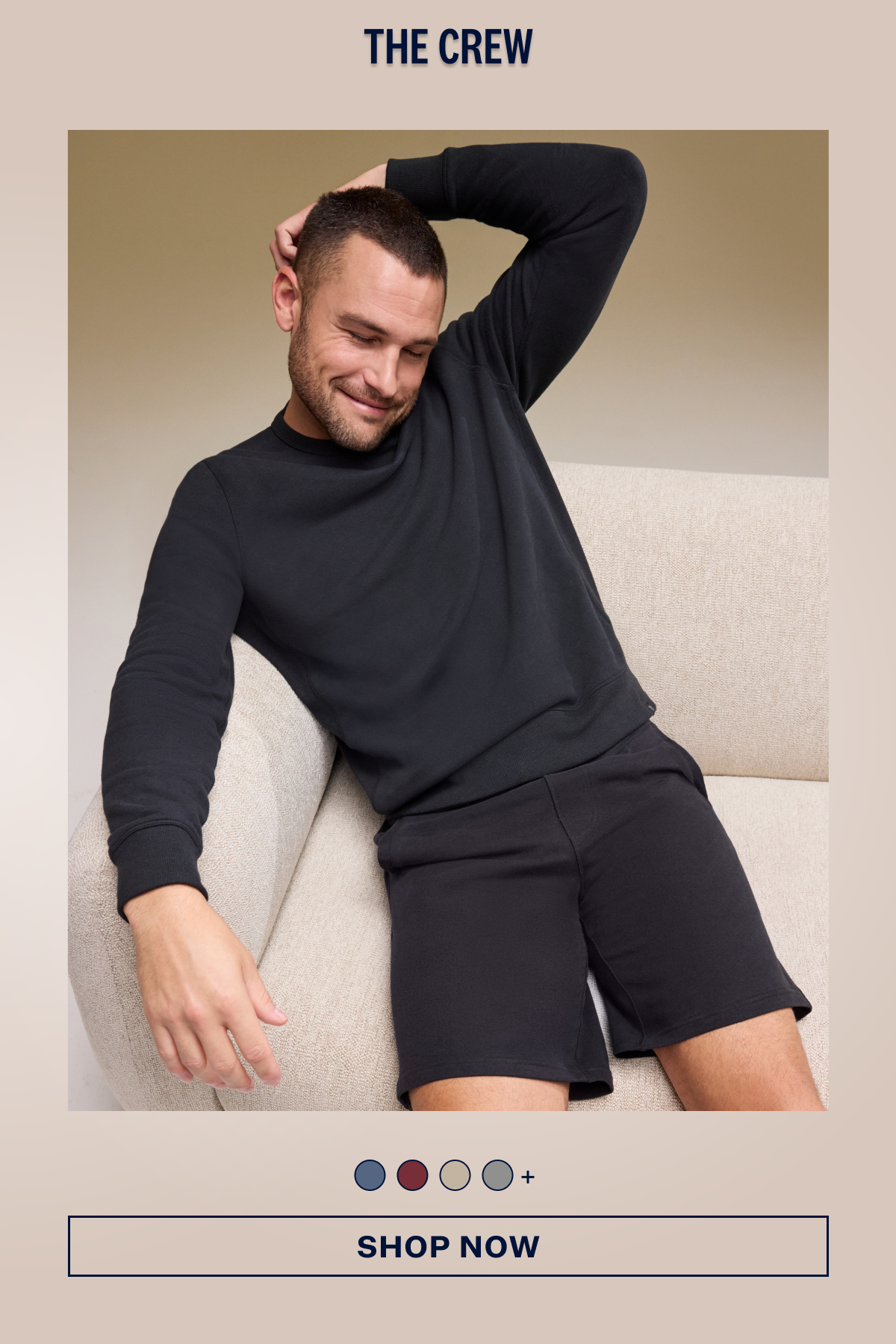ACE Crew Neck Sweatshirt