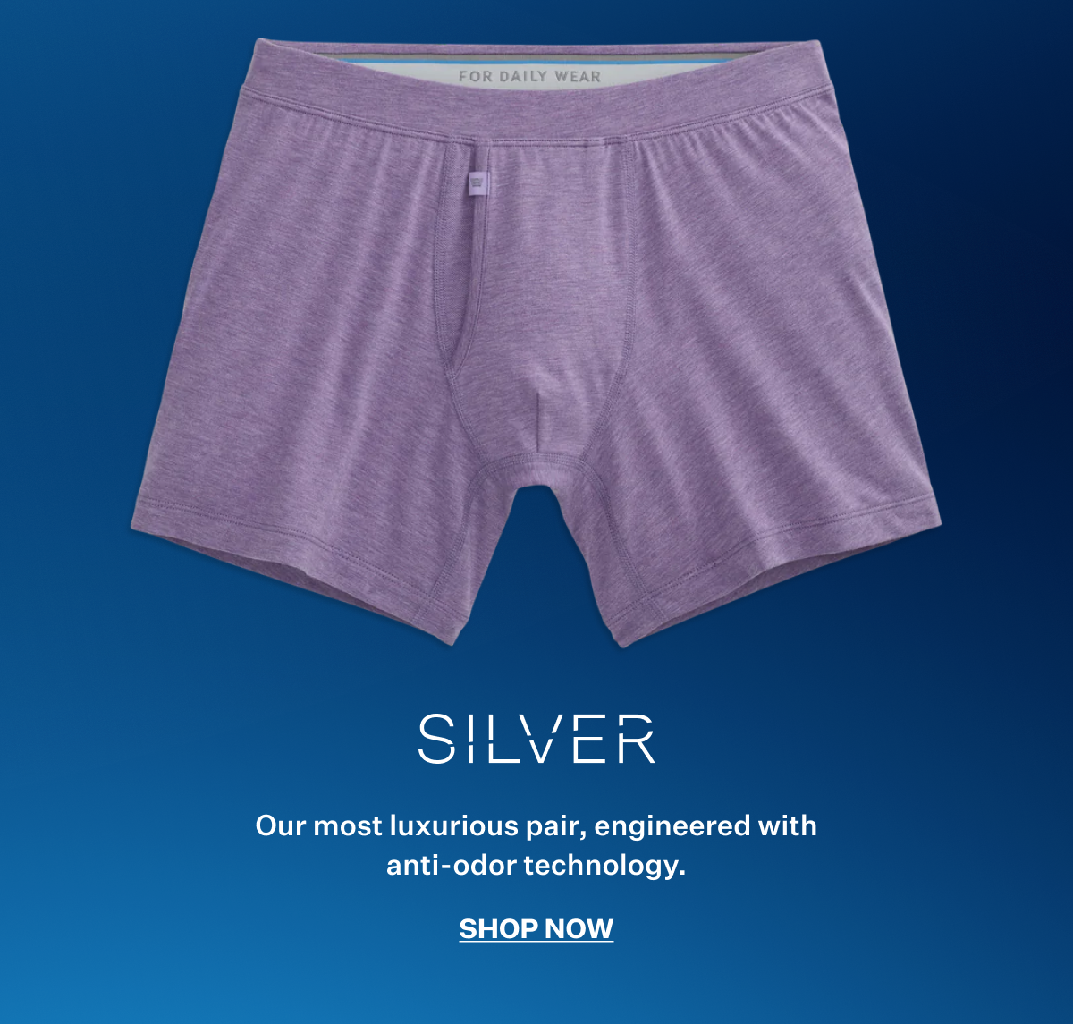 SILVER Boxer Brief