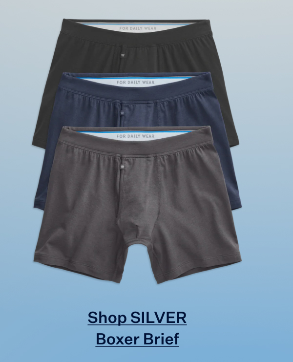 3-Pack SILVER Boxer Briefs