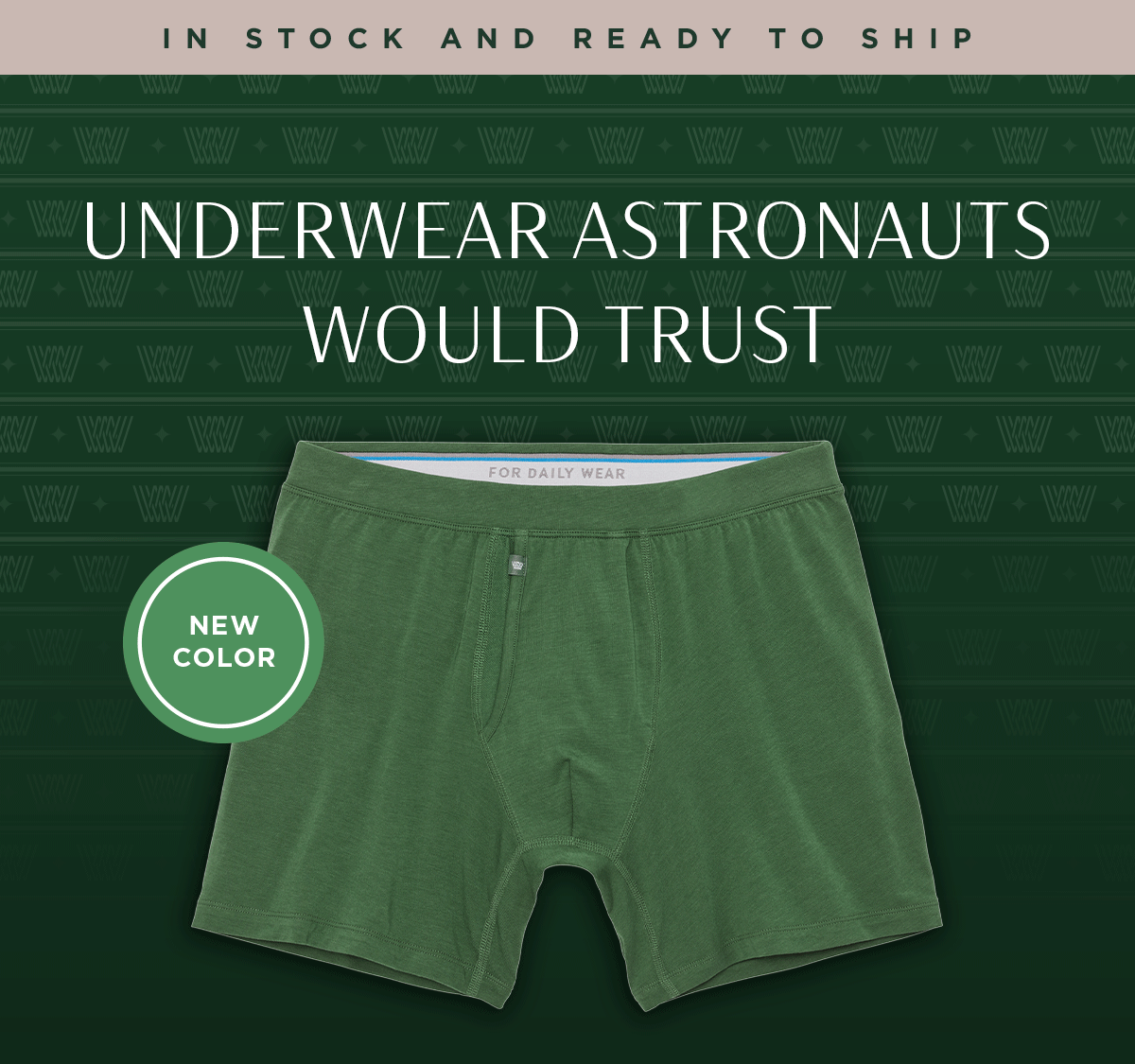 Silver Underwear