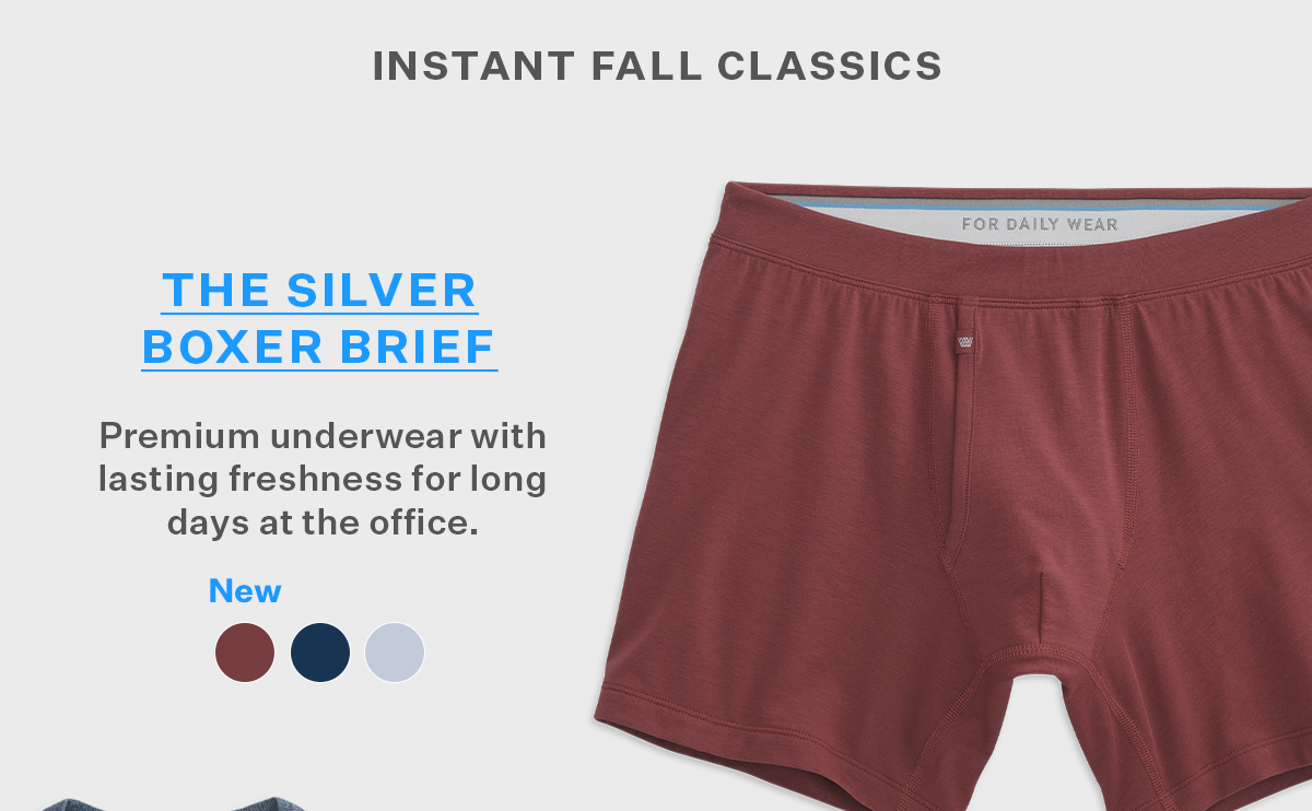 Silver Boxer Brief