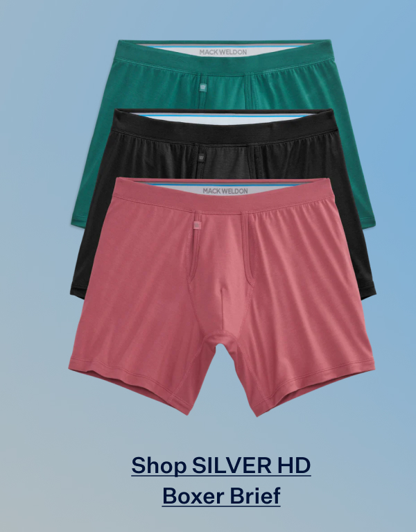 3-Pack SILVER HD Boxer Brief