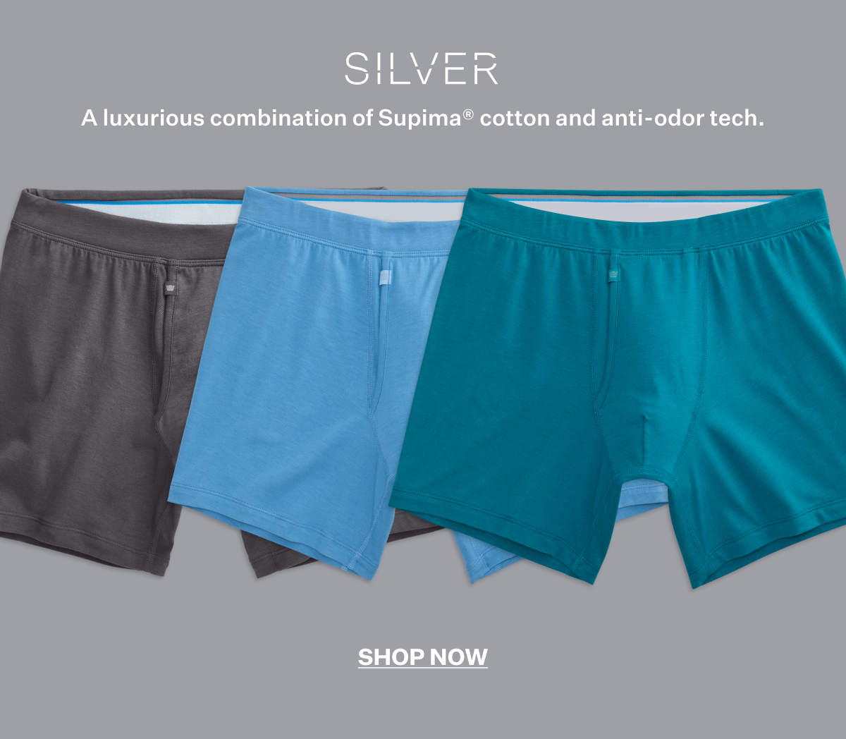 SILVER Boxer Brief