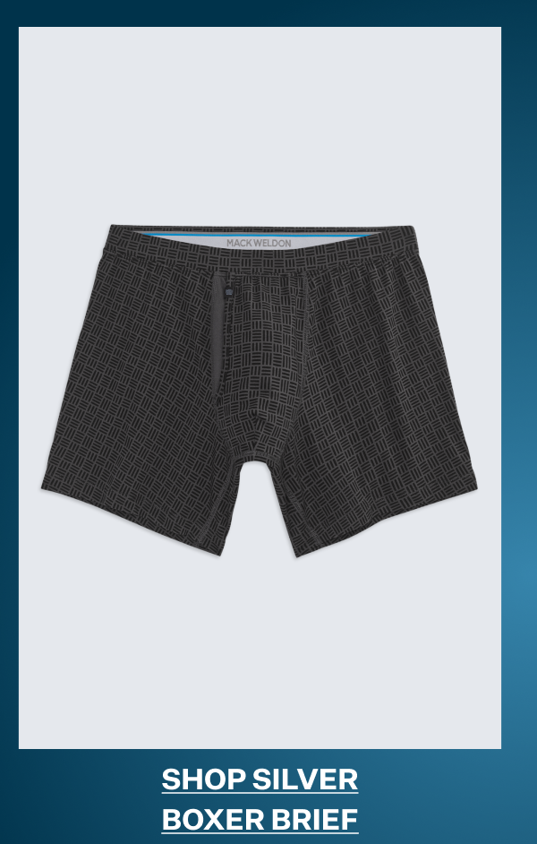 SILVER Boxer Brief