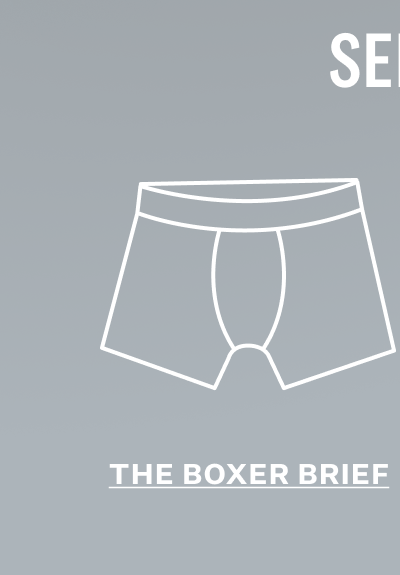 SILVER Boxer Brief