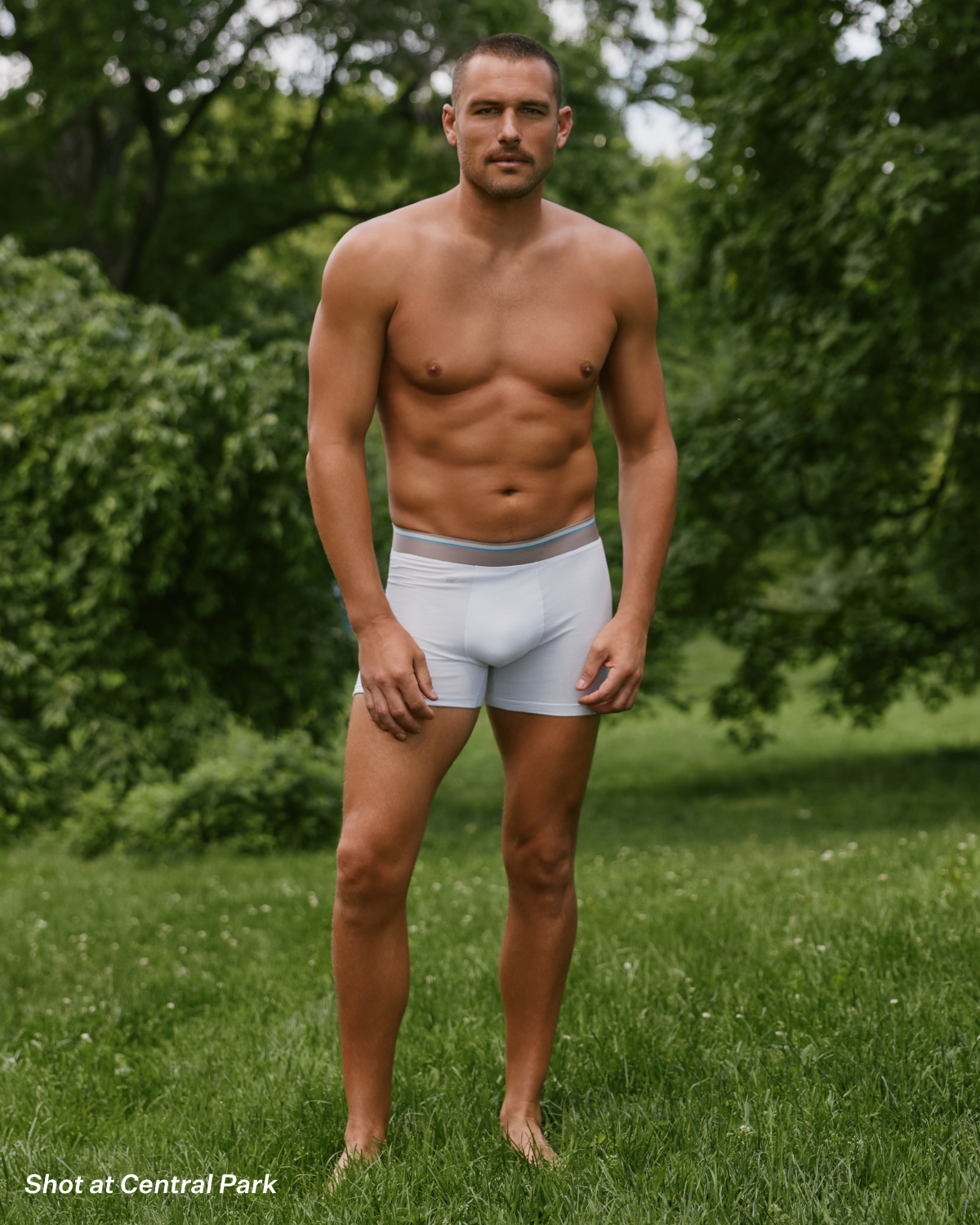 Airknitx Cotton Boxer Brief in Bright White