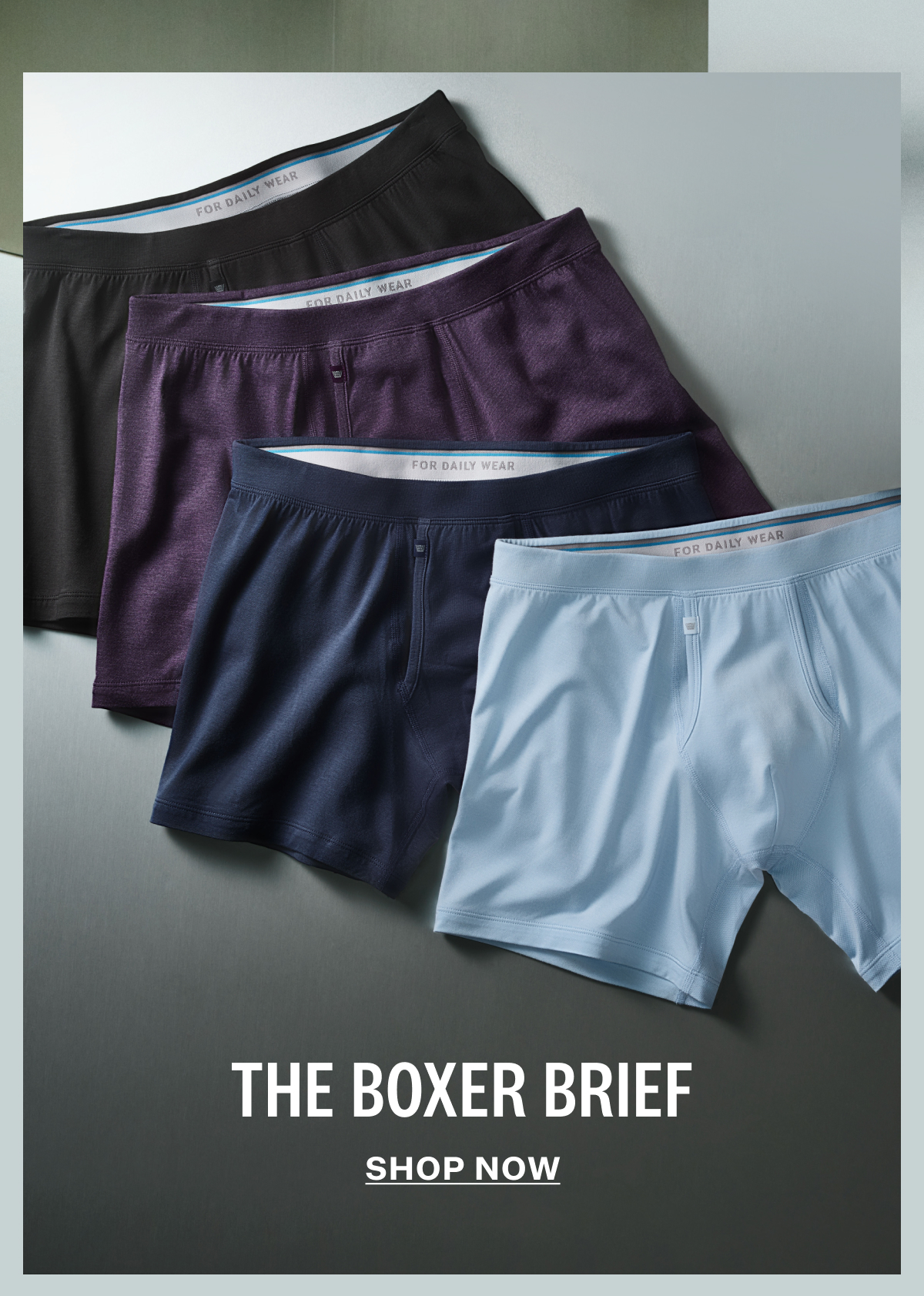 SILVER Boxer Brief