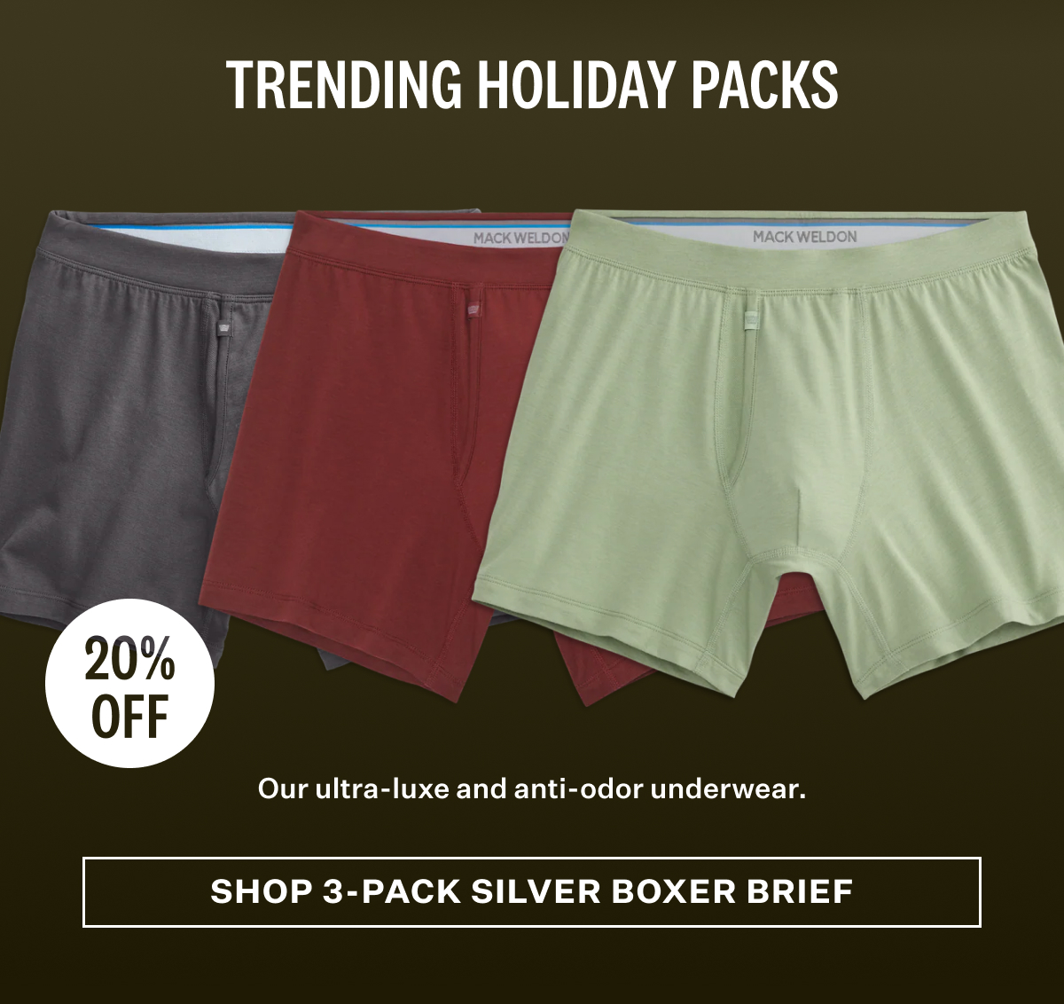 3-Pack Silver Boxer Brief