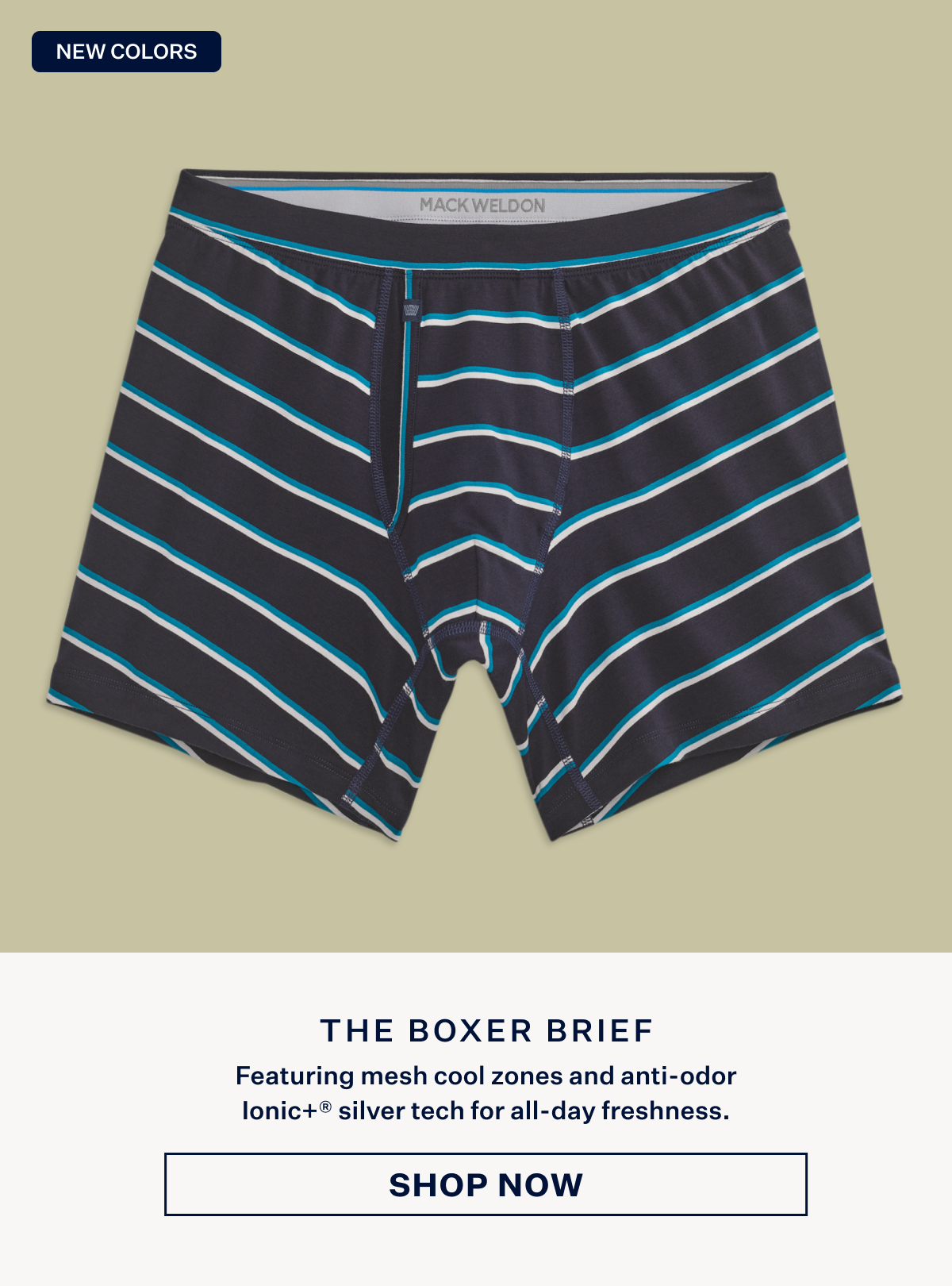 Silver Boxer Brief
