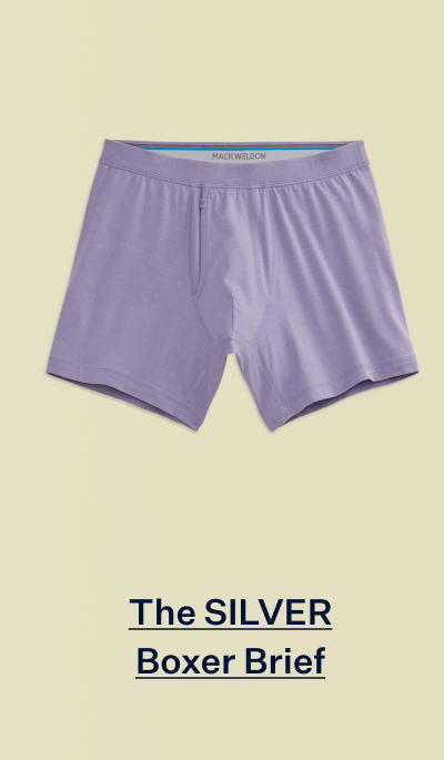 Silver Boxer Brief