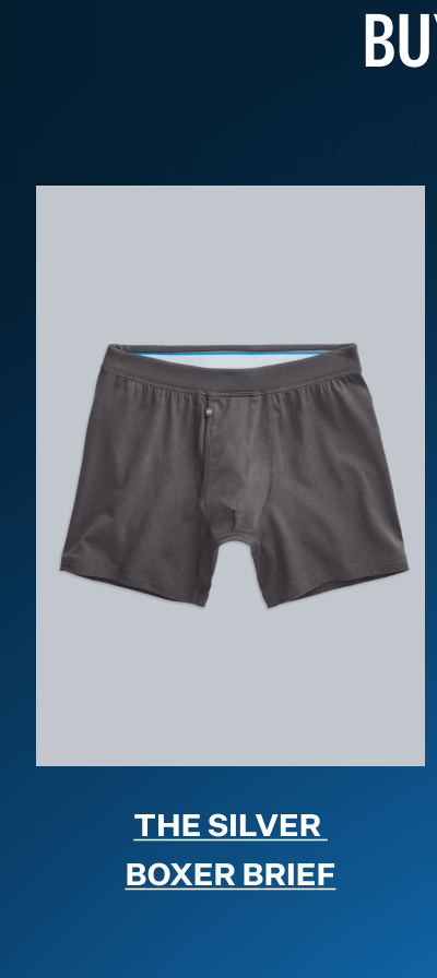 SILVER Boxer Brief