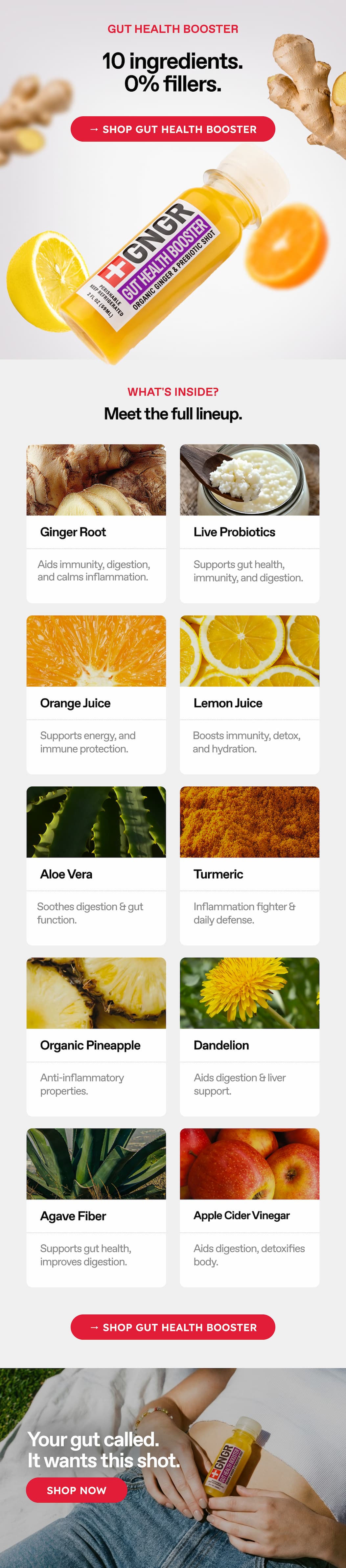 Gut Health Booster. 10 Ingredients. 0% Fillers → Shop Gut Health Booster. What's Inside? Meet The Full Lineup. Ginger Root. Live Probiotics. Aids Immunity, Digestion, And Calms Inflammation. Supports Gut Health, Immunity, And Digestion. Orange Juice. Lemon Juice. Supports Energy And Immune Protection. Boosts Immunity, Detox, And Hydration. Aloe Vera. Turmeric. Soothes Digestion & Gut Function. Inflammation Fighter & Daily Defense. Organic Pineapple. Dandelion. Anti-Inflammatory Properties. Aids Digestion & Liver Support. Agave Fiber. Apple Cider Vinegar. Supports Gut Health, Improves Digestion. Aids Digestion, Detoxifies Body → Shop Gut Health Booster. Your Gut Called. it Wants This Shot. Shop Now