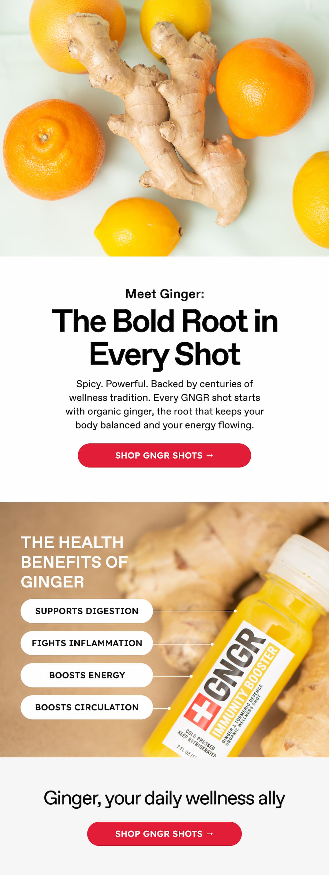 Meet Ginger: The Bold Root in Every Shot | Spicy. Powerful. Backed by centuries of wellness tradition. Every GNGR shot starts with organic ginger, the root that keeps your body balanced and your energy flowing. | Shop GNGR Shots → THE HEALTH BENEFITS OF GINGER | SUPPORTS DIGESTION | FIGHTS INFLAMMATION | BOOSTS ENERGY | BOOSTS CIRCULATION | Ginger, your daily wellness ally | Shop GNGR Shots →